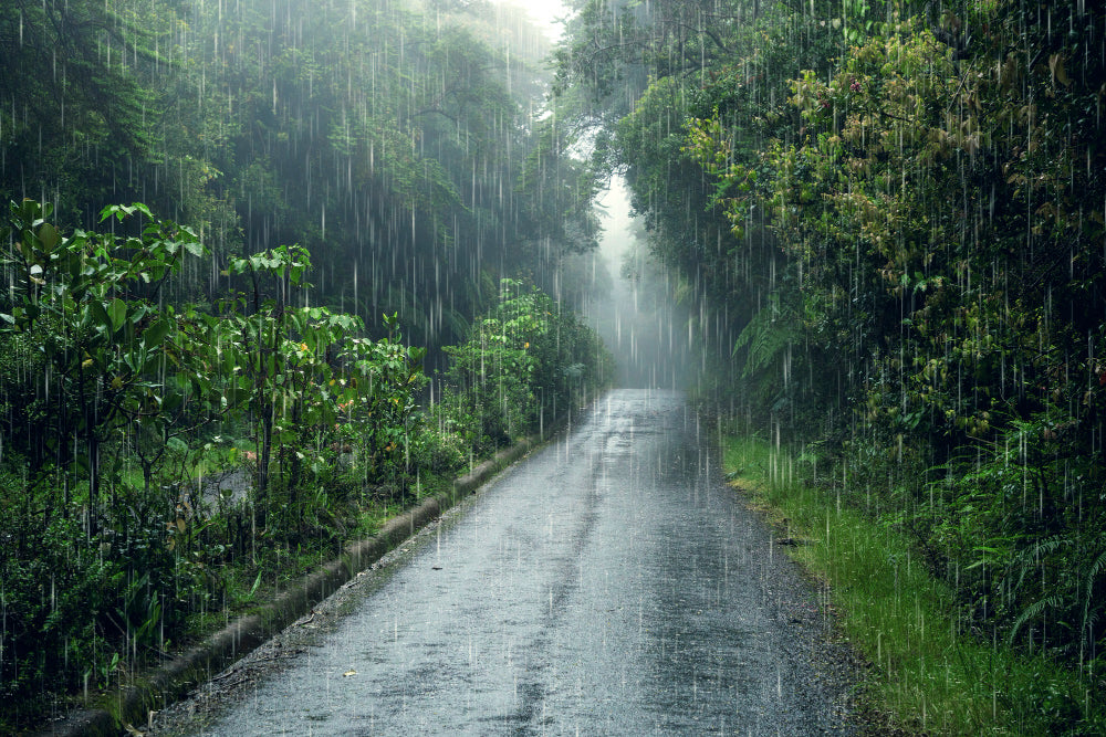 Enhance Your Rear View with UkkoCam's Backup Camera Rain Guard - Drive Safely in Any Weather