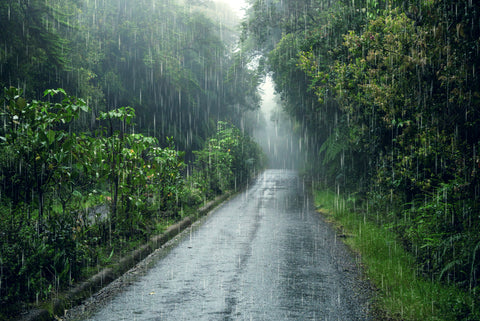 Enhance Your Rear View with UkkoCam's Backup Camera Rain Guard - Drive Safely in Any Weather